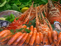 Phuket Information
